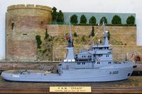 tenace